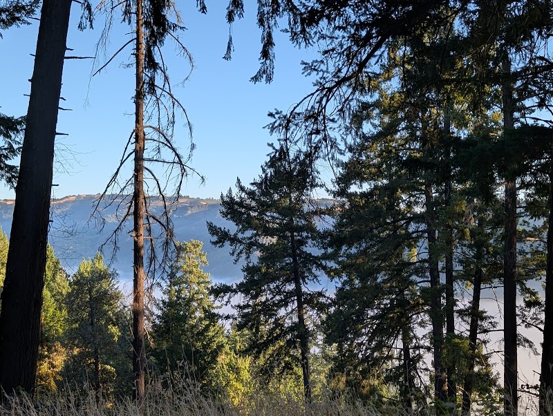 Saratoga Gap Open Space Preserve photo 5