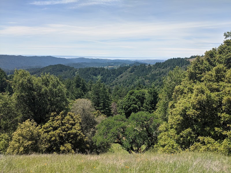 Photo of Saratoga Gap Open Space Preserve