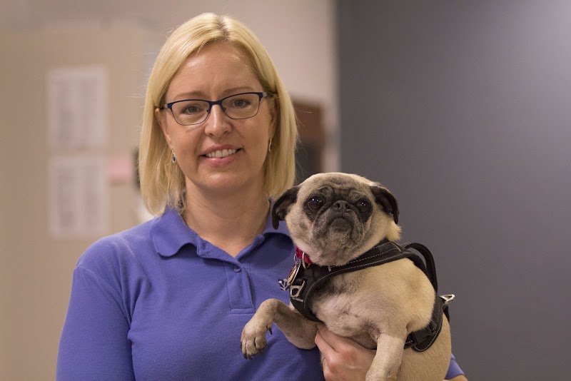 Dove Mountain Veterinary photo 4