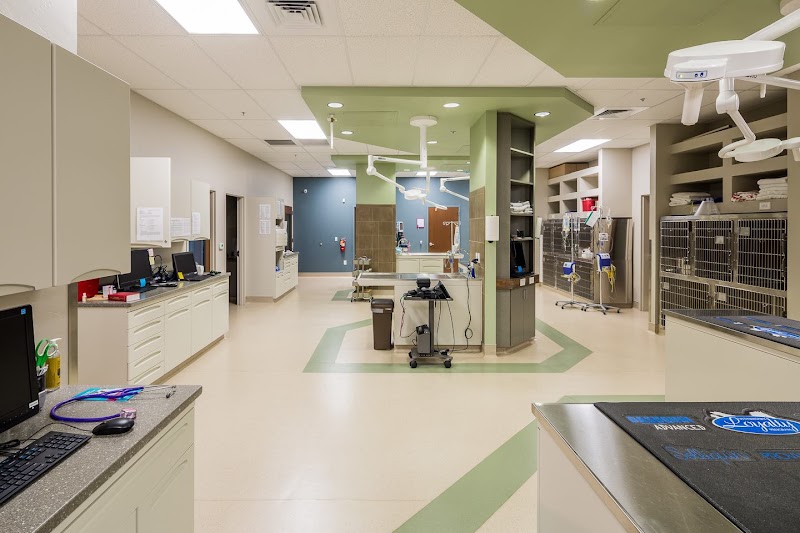 Dove Mountain Veterinary photo 5