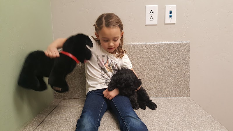 Dove Mountain Veterinary photo 3