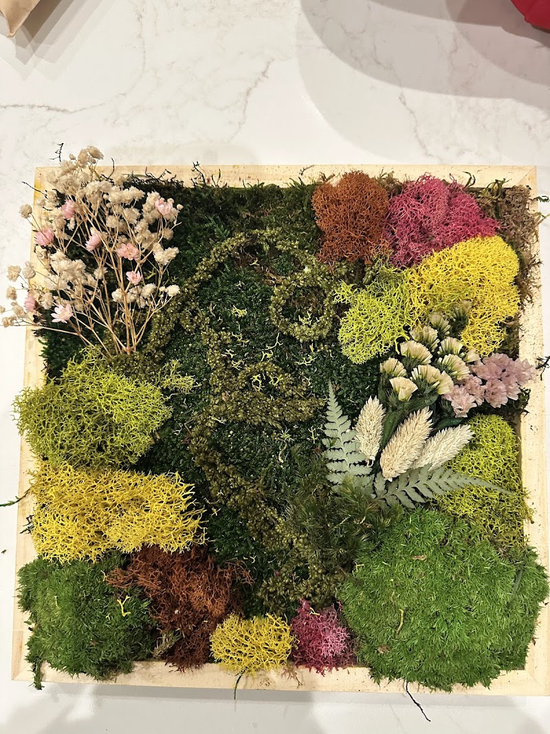Luludi Living Art, Corp photo 2