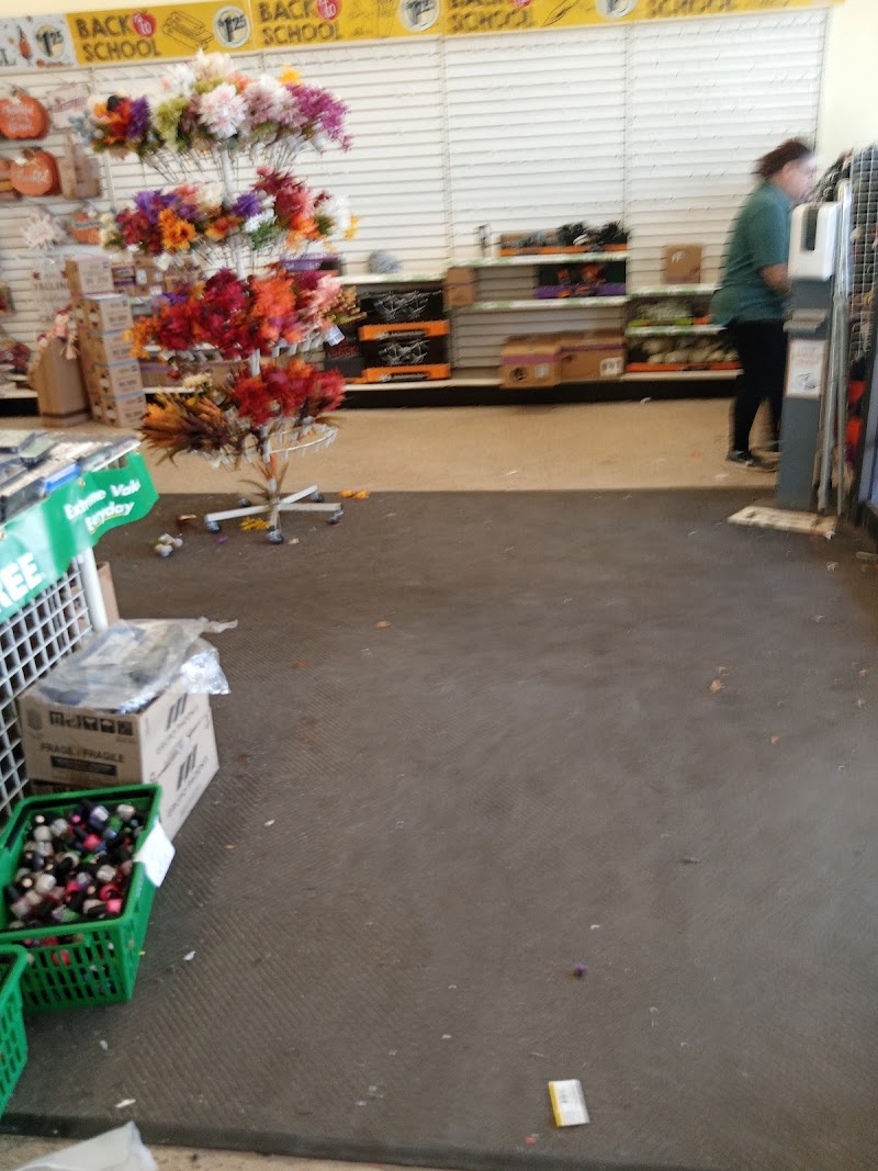 Dollar Tree photo 5