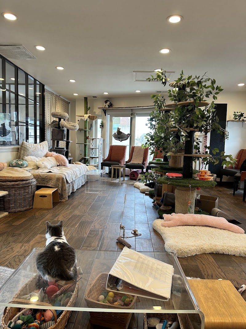 Photo of Catty Corner Cafe