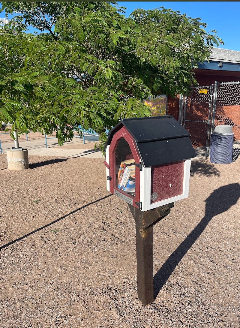 Photo of Little Free Library
