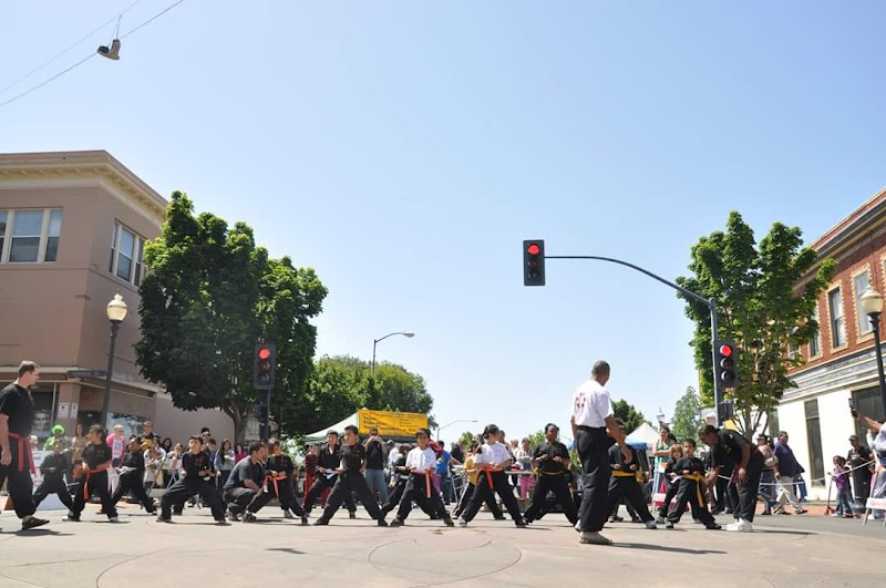 School of Chinese Martial Arts Hei Long - Shou Shu Kung Fu photo 5