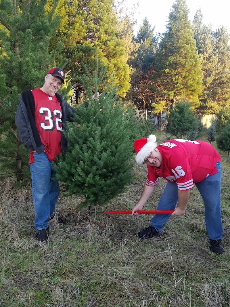 Graton Fire Christmas Tree Farm photo 2