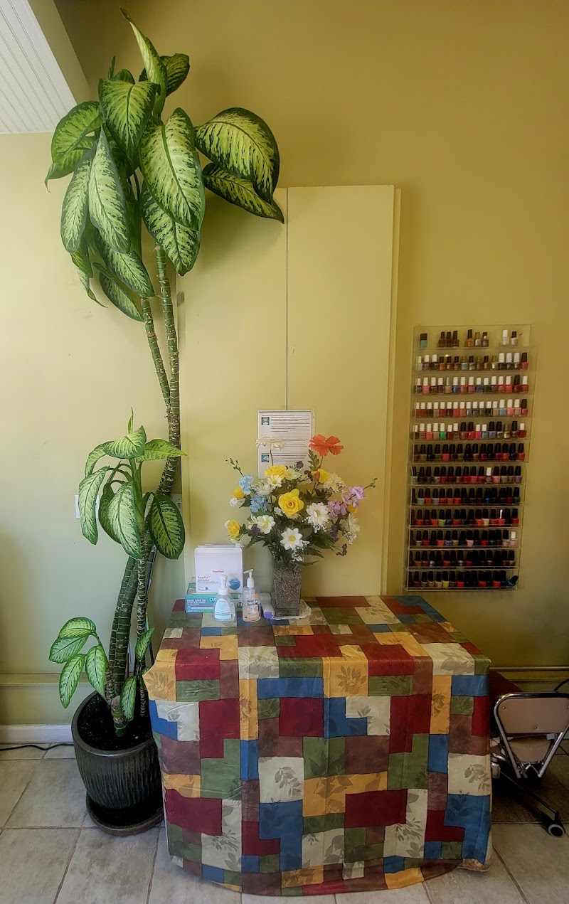 Albany Nail Salon photo 4