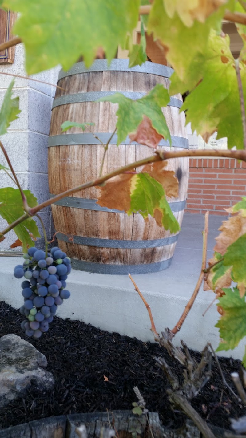 Wine Thieves photo 5