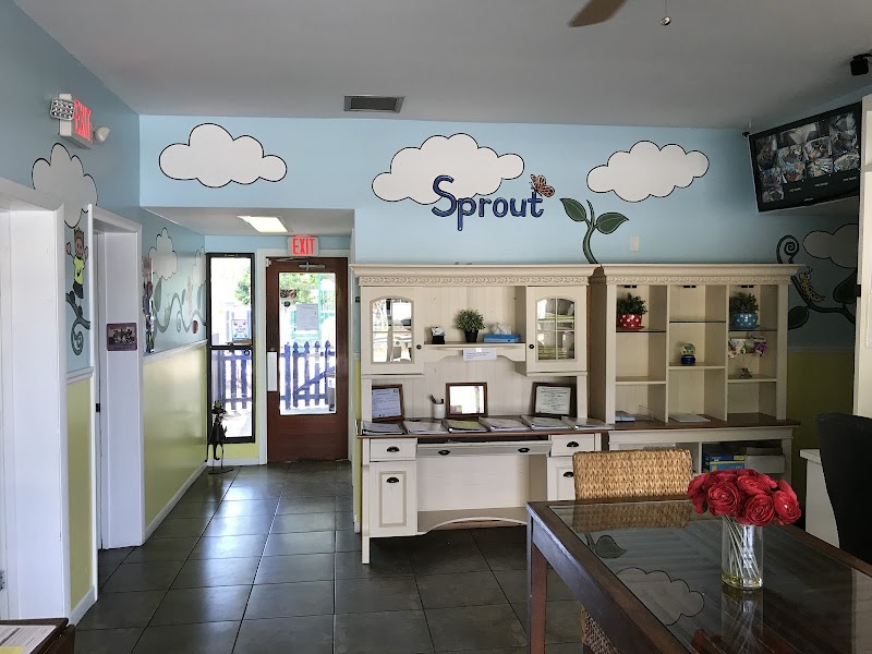 The Sprout Academy - Pinellas Park photo 3