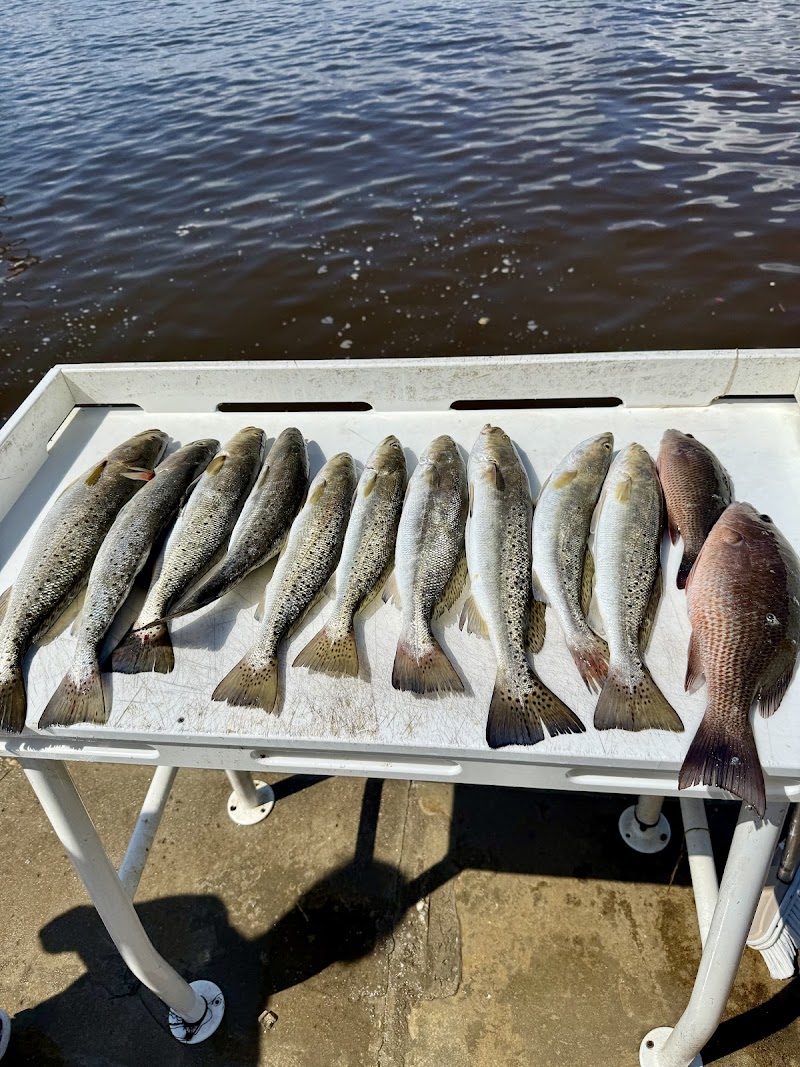 Santa Rosa Charters LLC photo 5