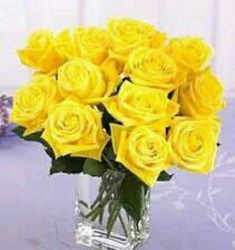 Dr. Haritha Tirupathi DDS photo 3
