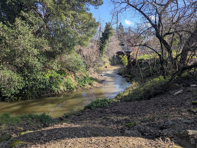 Alamo Creek Park photo 5
