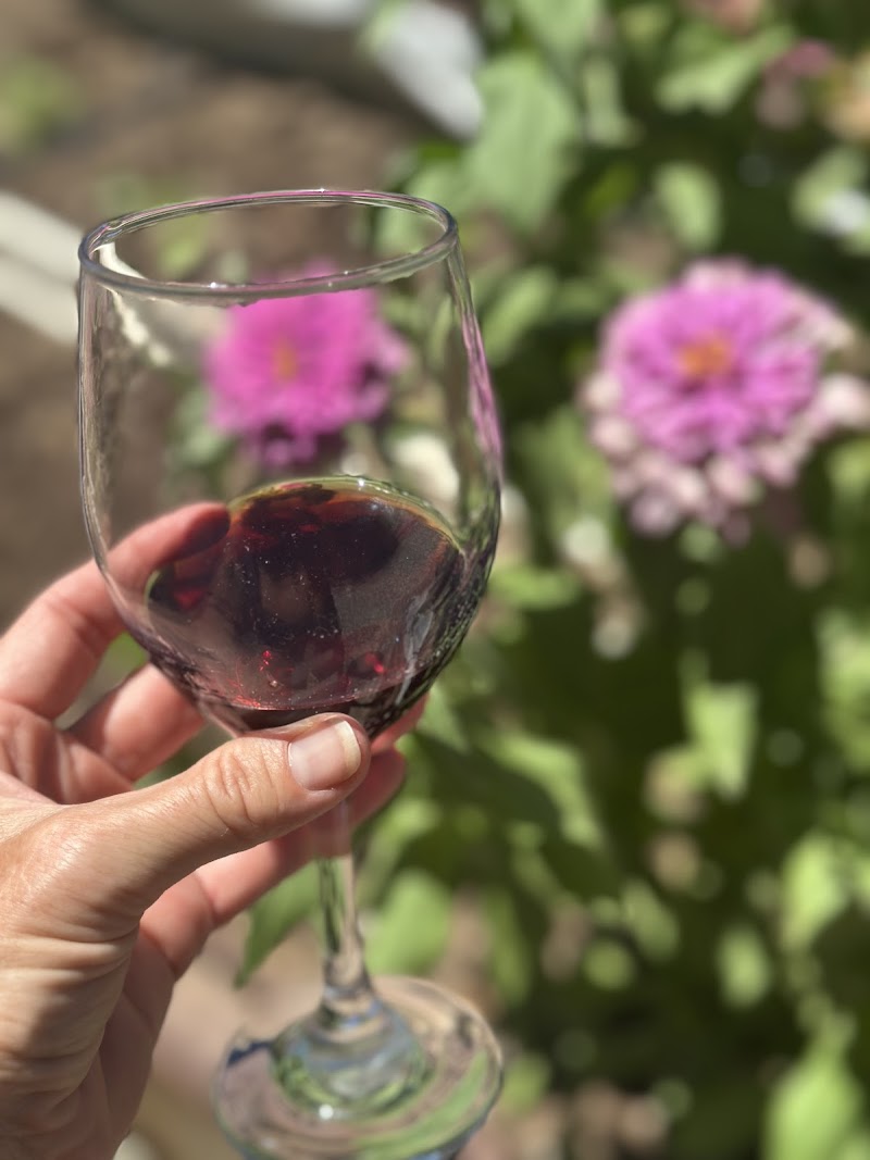 Clear Creek Vineyard & Winery, Home of the Rio Claro Wines photo 4