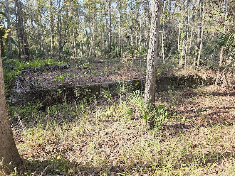 Photo of Trout Creek House Foundation