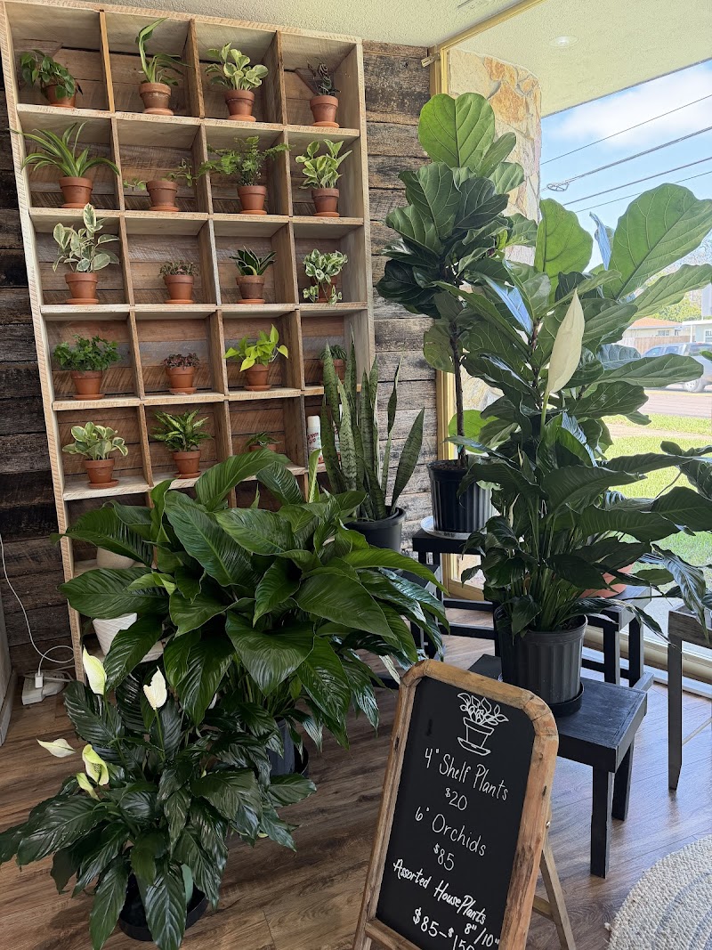 Hassell Florist
