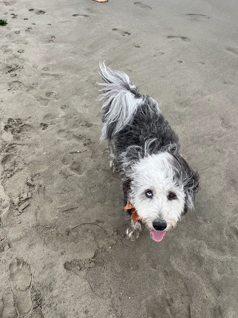Doggie Styles photo 3