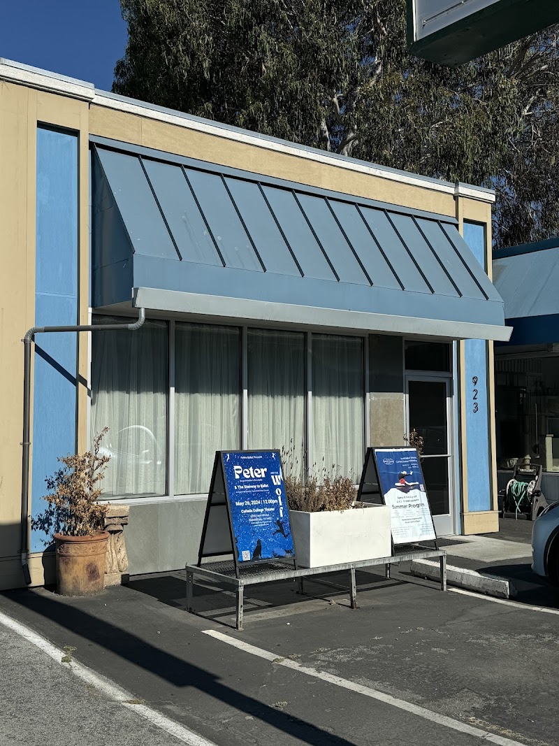 Photo of Academy of Palo Alto Performing Arts, Los Altos
