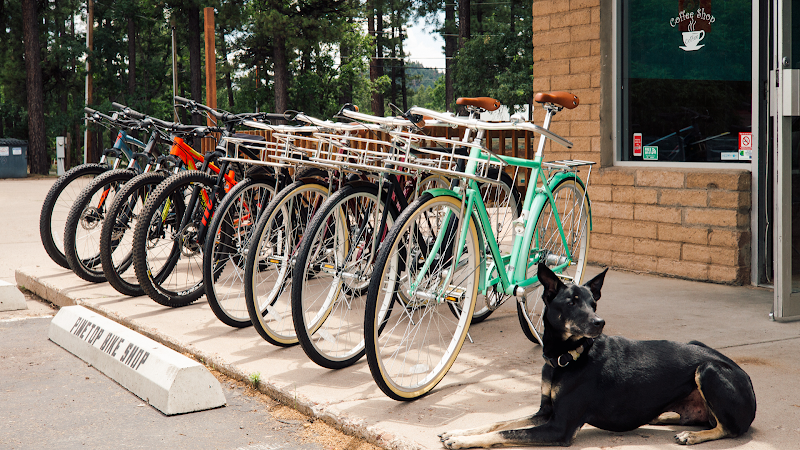Pinetop Bike Shop photo 2