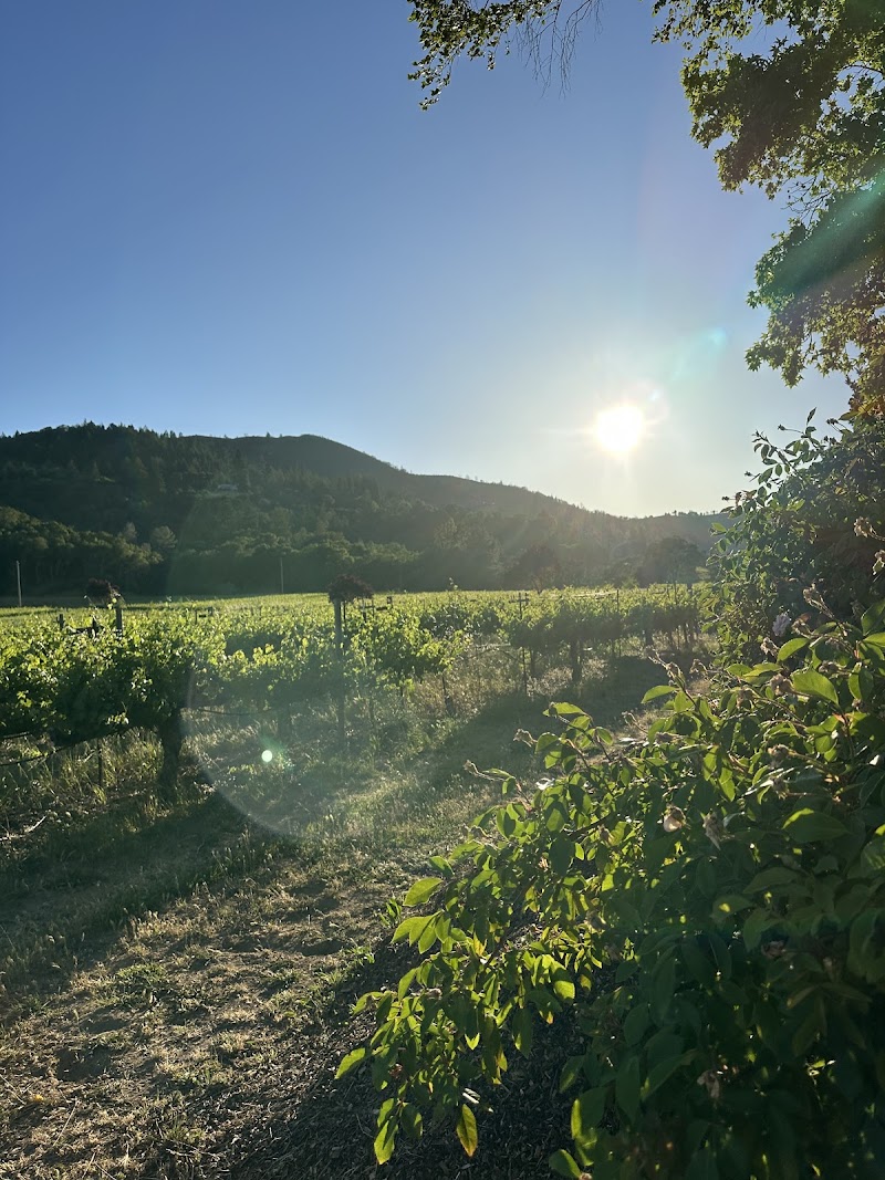 Photo of Kenneth Carl Estate Winery & Farmstay
