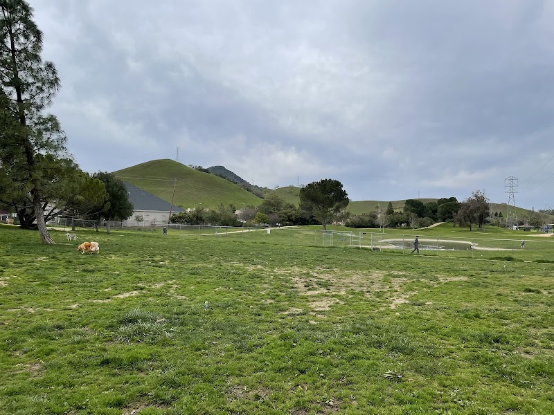 Photo of Morgan Hill Dog Park