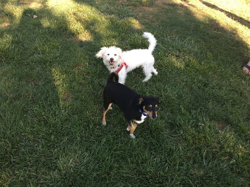 Morgan Hill Dog Park photo 5