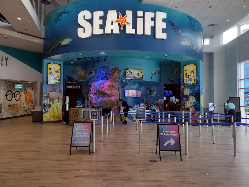 SEA LIFE Orlando Aquarium photo 3
