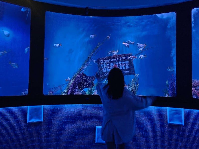 SEA LIFE Orlando Aquarium photo 5