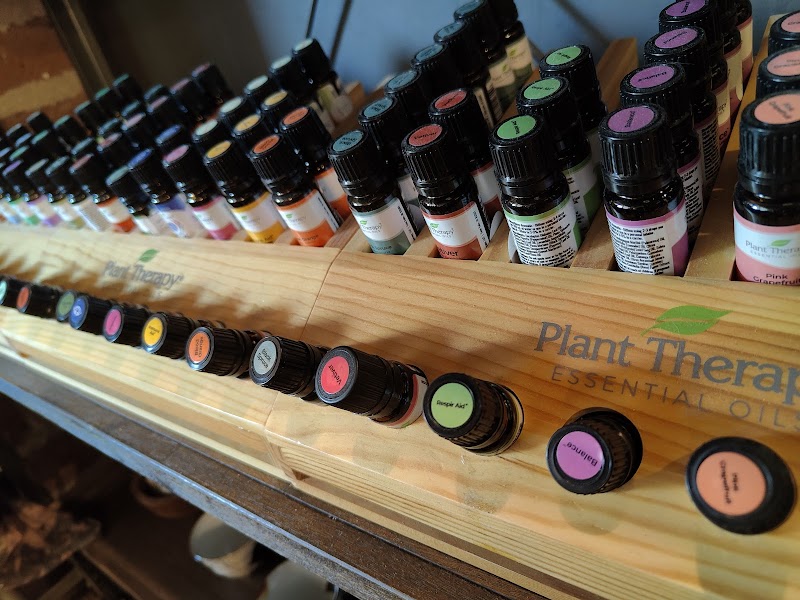 THE SHOP at Rooted Integrative Wellness photo 3