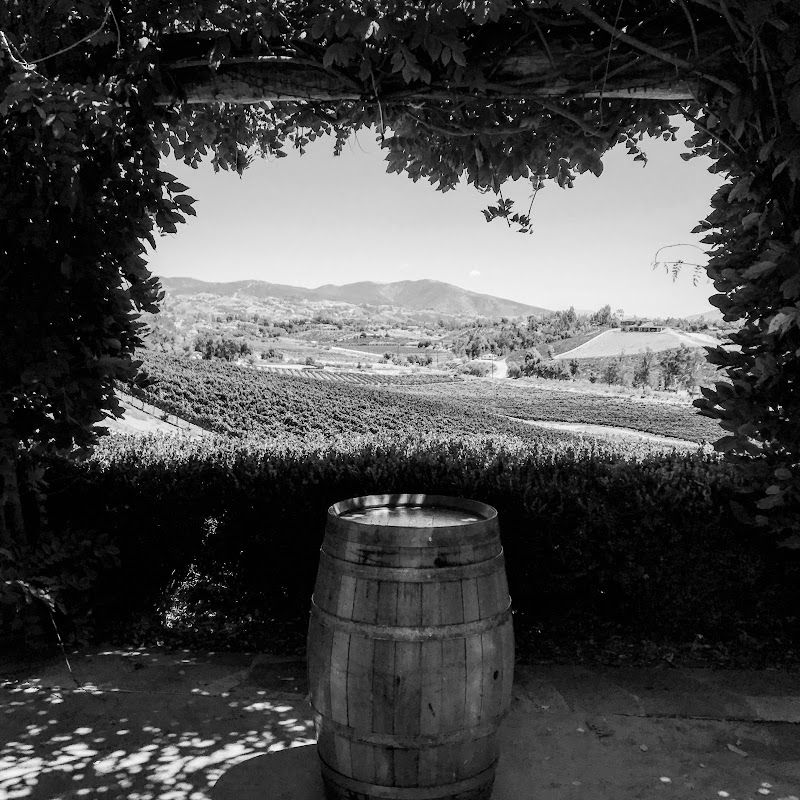 Arizona Winery Transportation photo 3