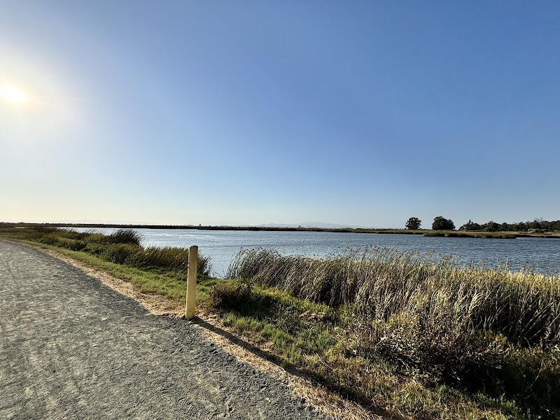 Photo of Napa-Sonoma Marshes Wildlife Area - American Canyon Unit