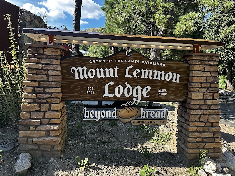 Beyond Bread photo 4
