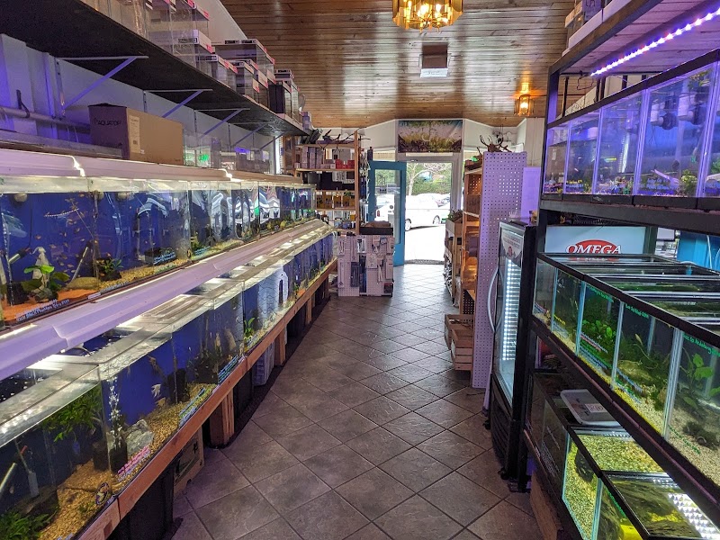 The Fish Barn photo 2