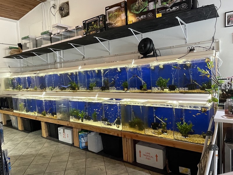 The Fish Barn photo 5