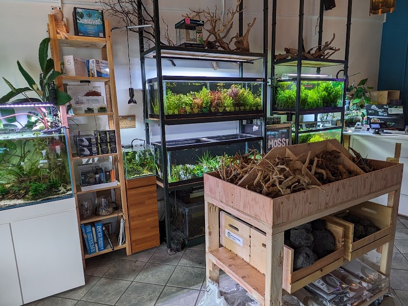 The Fish Barn photo 3