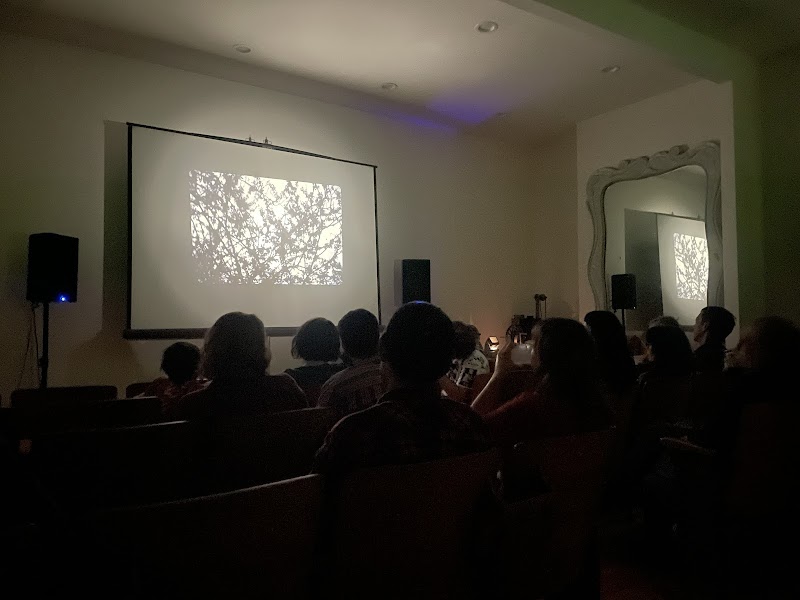 Shapeshifters Cinema photo 3