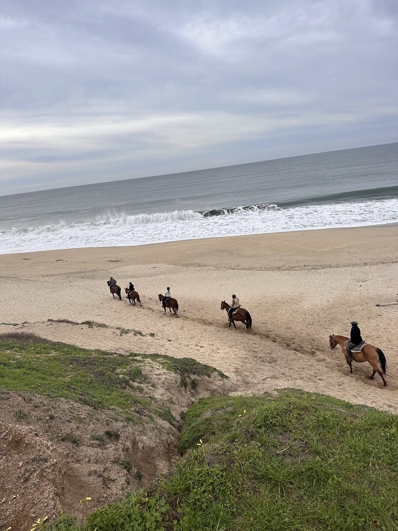 Sea Horse Ranch photo 5