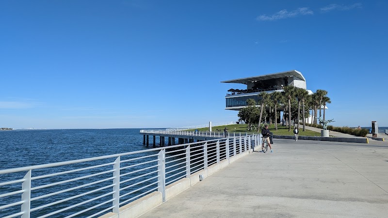 Tampa Bay Watch Discovery Center Eco-Tours photo 2