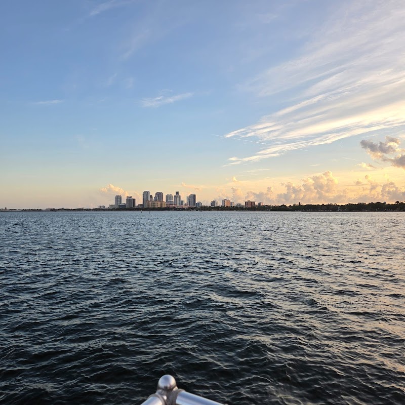 Photo of Tampa Bay Watch Discovery Center Eco-Tours