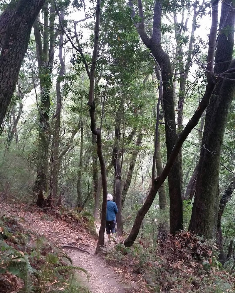 Photo of Alto Bowl Preserve