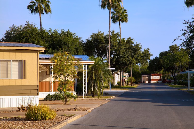 Photo of Encore Alamo Palms