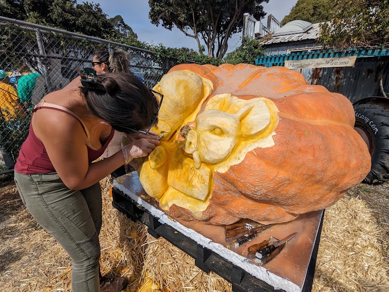 Photo of Half Moon Bay Art and Pumpkin Festival