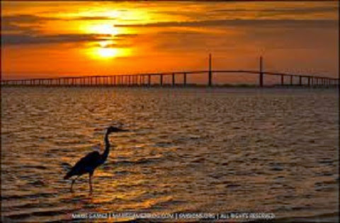 Photo of West Bay Insurance | Your Local Insurance Agency