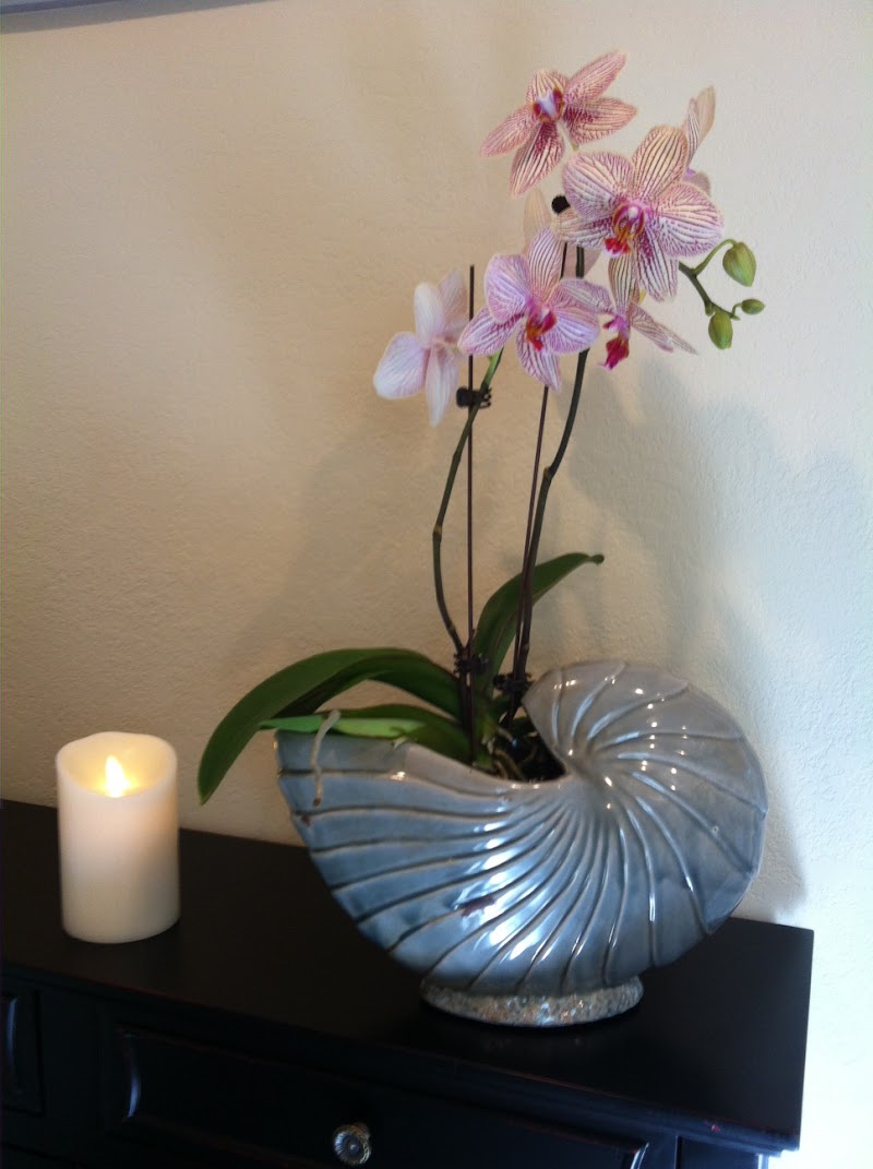 Cheryl Fuller, Therapeutic Massage photo 5