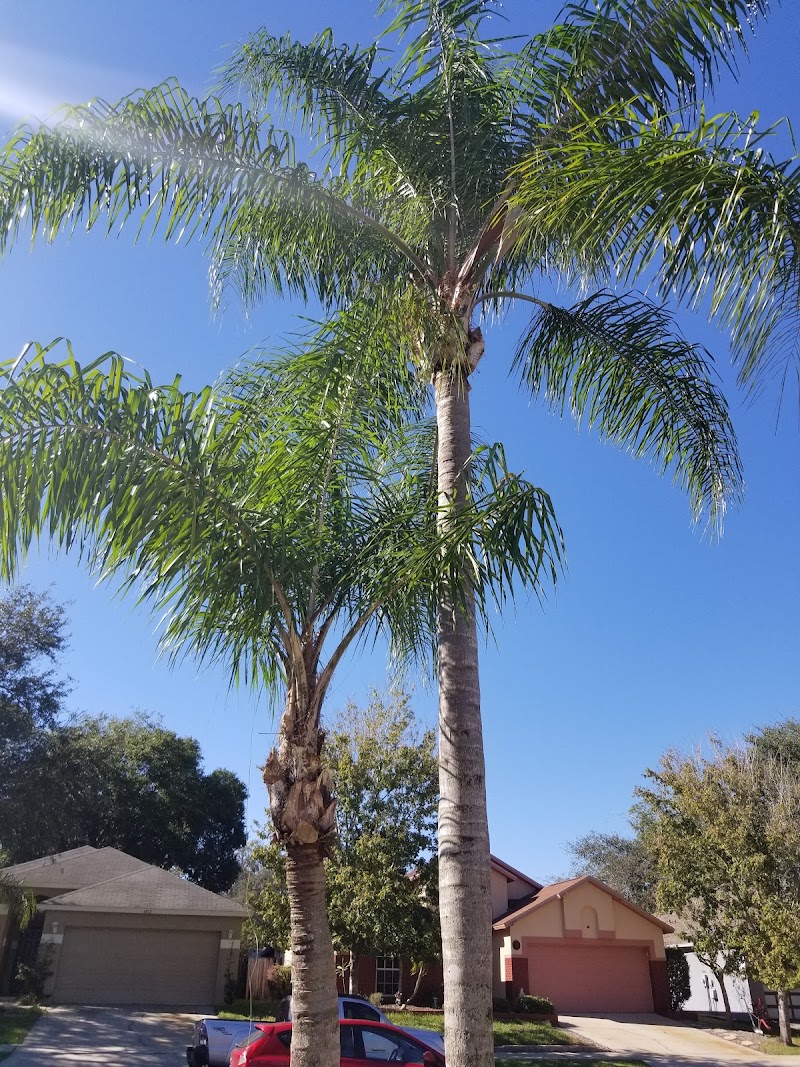 Papa Green Corp. Lawn Care photo 3