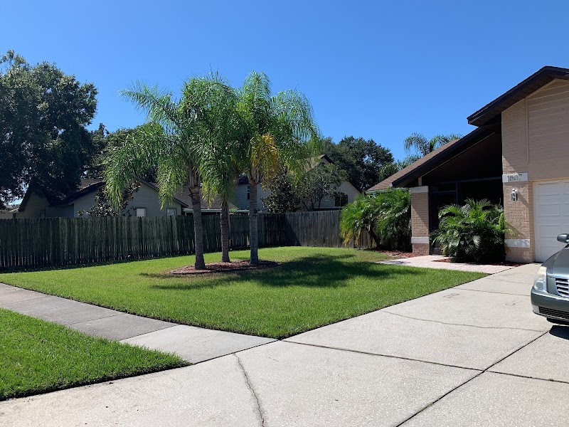 Papa Green Corp. Lawn Care photo 5