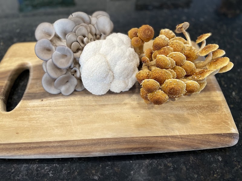 Mikuyta Mushrooms LLC photo 2