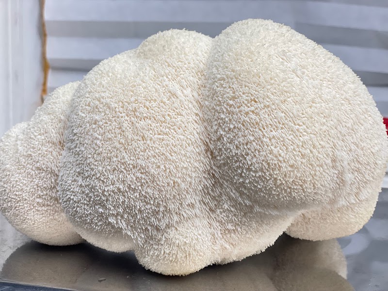 Mikuyta Mushrooms LLC photo 4