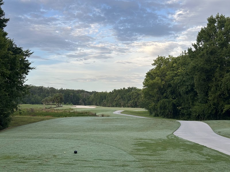 Red Fox and Gray Fox Executive Golf Course photo 3