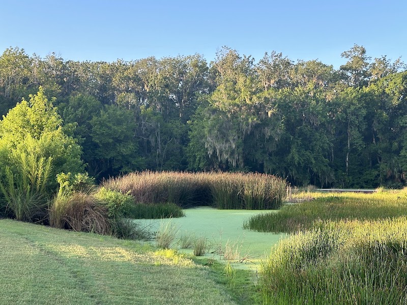 Red Fox and Gray Fox Executive Golf Course photo 4